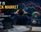 What Is Stock Market Risk and How Can Investors Manage It?